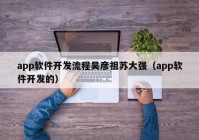 app软件开发流程吴彦祖苏大强（app软件开发的）