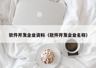 软件开发企业资料（软件开发企业名称）