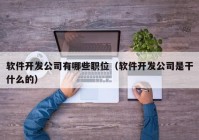 软件开发公司有哪些职位（软件开发公司是干什么的）