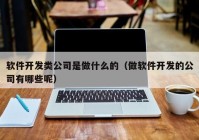 软件开发类公司是做什么的（做软件开发的公司有哪些呢）