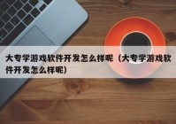 大专学游戏软件开发怎么样呢（大专学游戏软件开发怎么样呢）