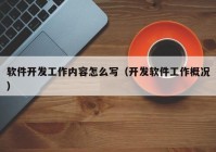 软件开发工作内容怎么写（开发软件工作概况）