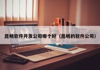 昆明软件开发公司哪个好（昆明的软件公司）