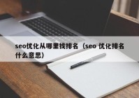 seo优化从哪里找排名（seo 优化排名什么意思）