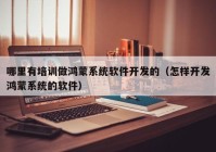 哪里有培训做鸿蒙系统软件开发的（怎样开发鸿蒙系统的软件）