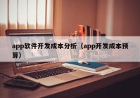 app软件开发成本分析（app开发成本预算）