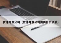 软件开发公司（软件开发公司需要什么资质）